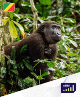 Republic of the Congo 4G/5G eSIM Plans - Roamight